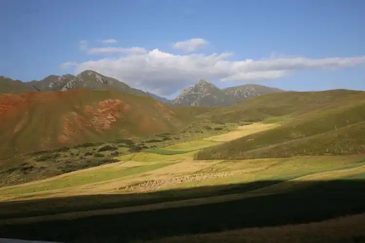 祁连山脉(卓尔山)高山草甸美景令人震撼