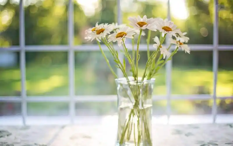 文艺小清新最喜爱的花瓶摆件壁纸图片