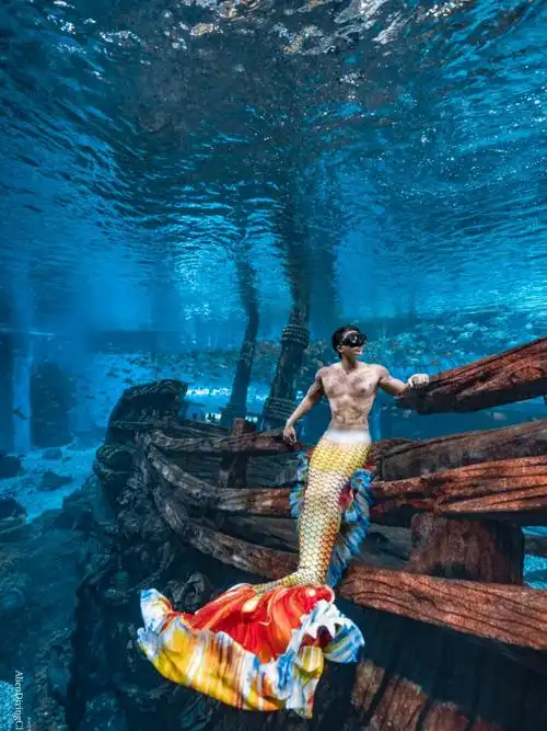 重庆自由潜国风男人鱼x融创海世界