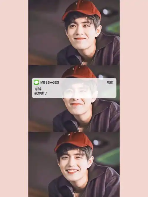 手机壁纸全是肖战