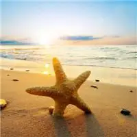 沙滩头像图片大全