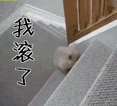 狗gif我滚了gif滚吧gif滚gif