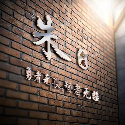 编号1511商务头像3d立体墙体名片20个姓氏