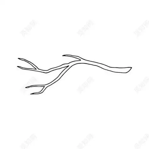 简笔画树枝干