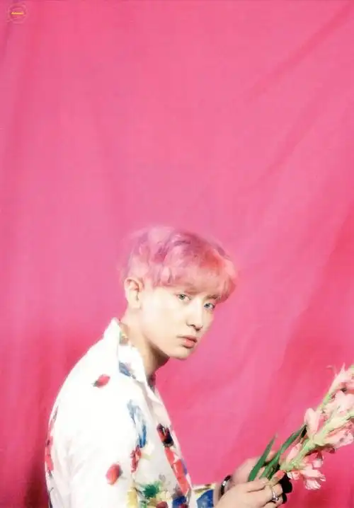 朴灿烈 exo cr.radiantcy61 - 堆糖,美图壁纸兴趣社区