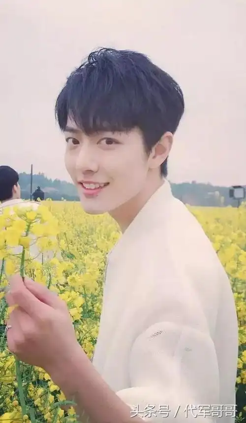 当红男明星小鲜肉(当红男明星小鲜肉照片)-天晟网