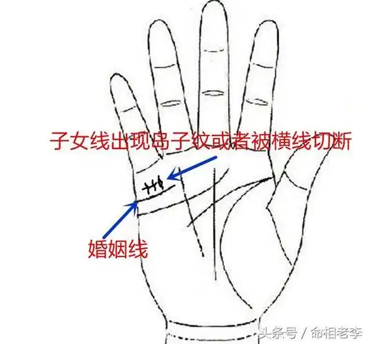 手相中子女线看看你与儿女的缘分有多深