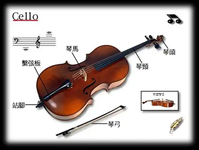 亮光哑光白色黑色大提琴初学者儿童成人练习大提琴彩色大提琴