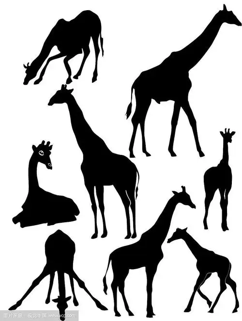 长颈鹿的剪影集