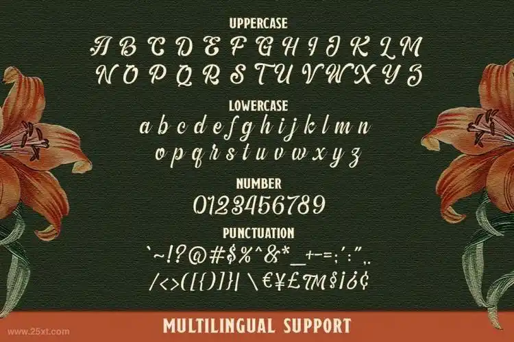 古典感的英文花体字体theamberton