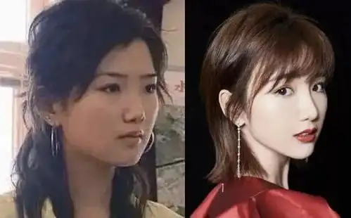 原创出生被爸爸扔垃圾桶,男友出轨四小时搬家,靠微整就换头的毛晓彤