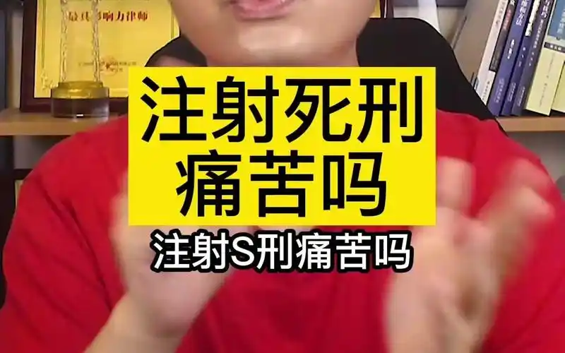 活动作品注射死刑痛苦吗