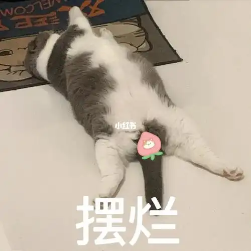 就这样吧摊牌了