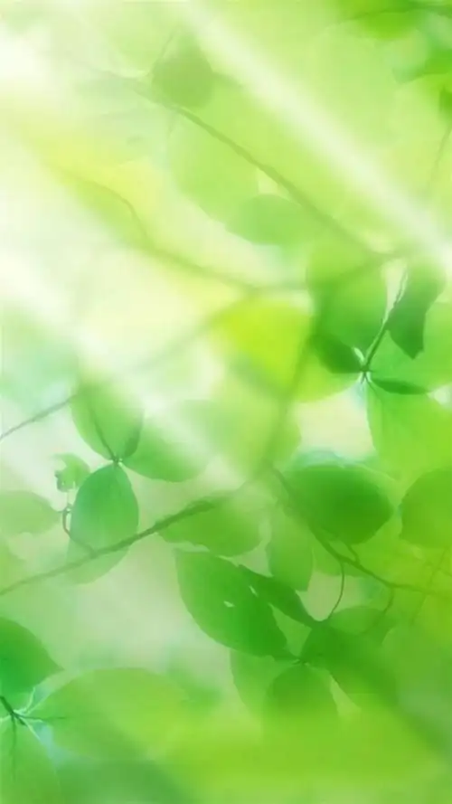 精选小清新绿色锁屏,高清图片,手机锁屏桌面-壁纸族