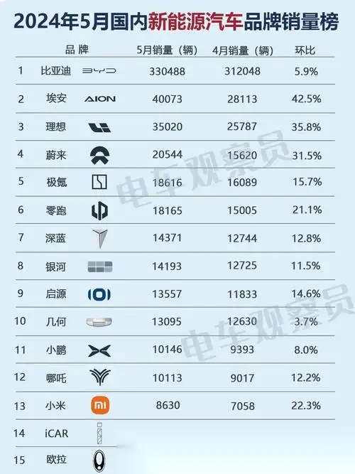 2024年5月新能源汽车品牌销量榜