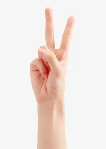 关键词 : 手指,手臂,手势,png