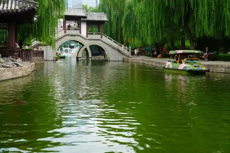 小桥流水 垂柳碧绿 翠菏娇艳