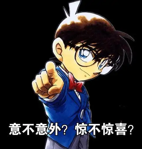 意不意外!惊不惊喜!_名侦探柯南_柯南_卡通_怼人表情表情