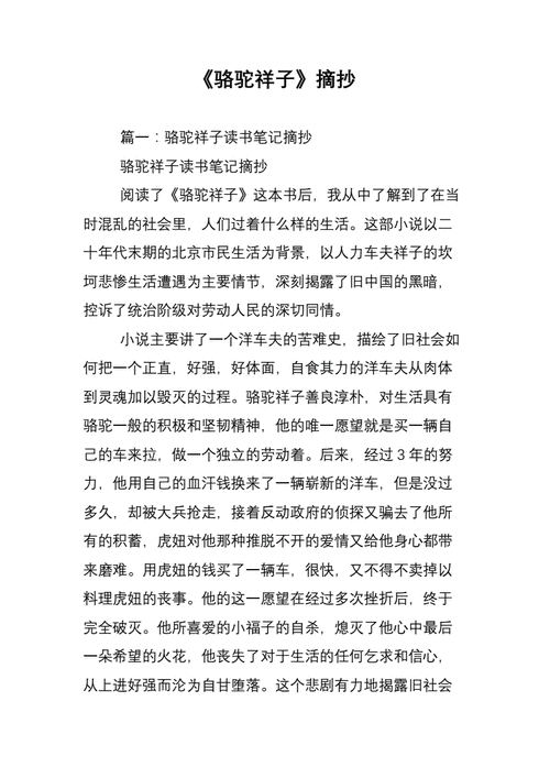 《骆驼祥子》摘抄.doc