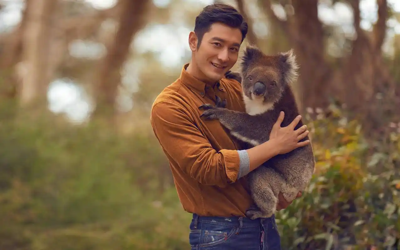 内地明星黄晓明高清壁纸