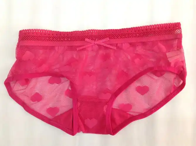 莲黛娜 内裤网纱内裤 女低腰三角内裤 女士三角内裤批发内裤批发