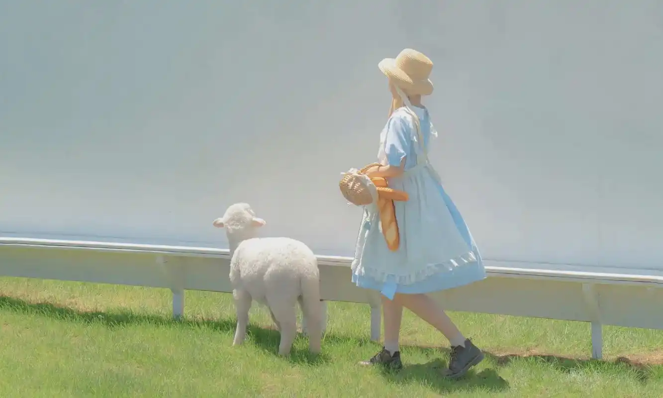 电脑壁纸ins高级质感女生可爱 - 抖音