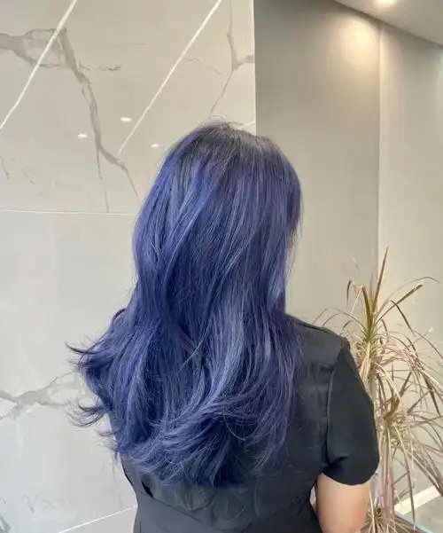 蓝黑色发色