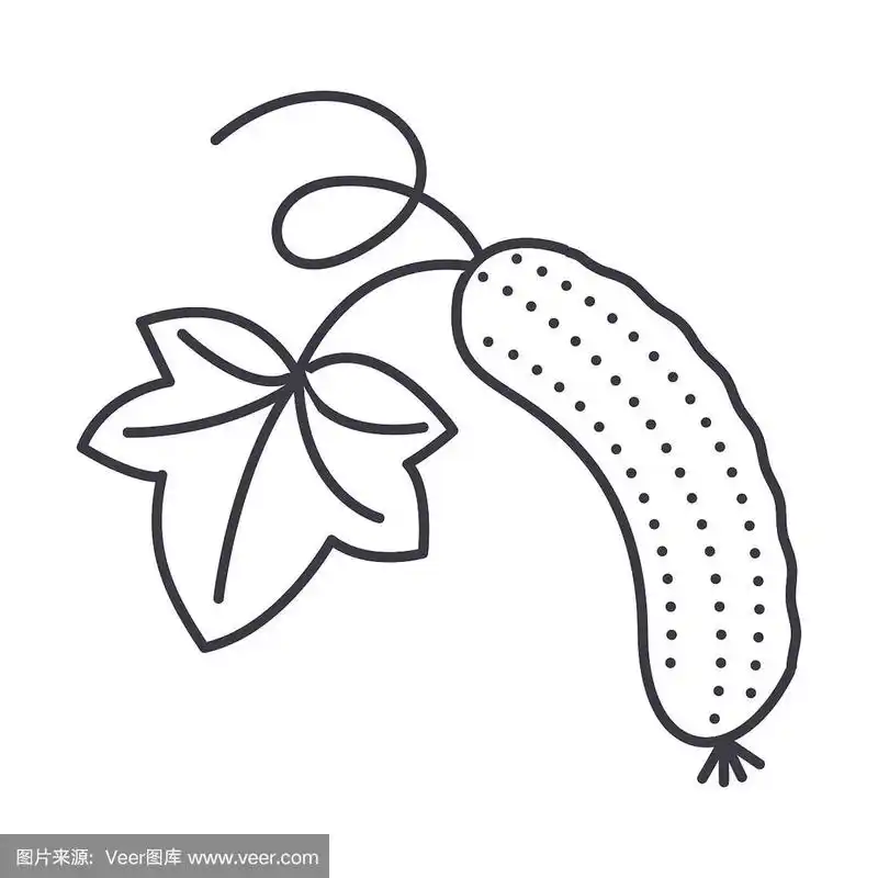 黄瓜矢量线图标,标志,插图的背景,可编辑的笔触