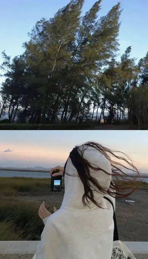 壁纸丨ins风高级感美女手机全屏锁屏壁纸_治愈_图片_网络