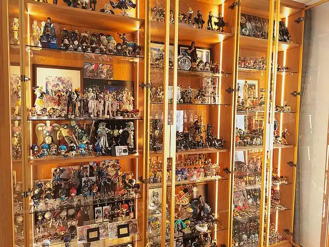 五千本书籍和两千个手办,收纳控,职住一体的日式原木之家