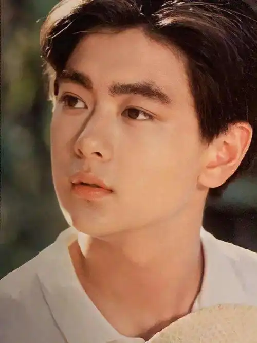 希望没事不老男神林志颖