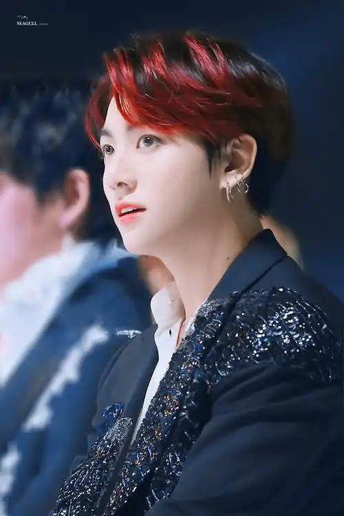 08seagull·jk 防弹少年团田柾国 饭拍