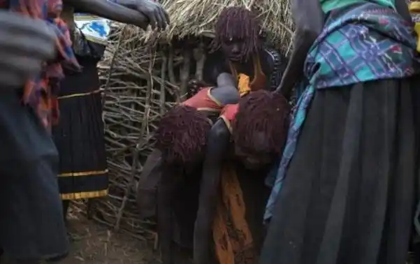 割礼是什么优质