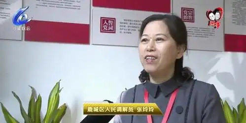 张玲玲:17年调解2300多起,协议金额超2000万元!