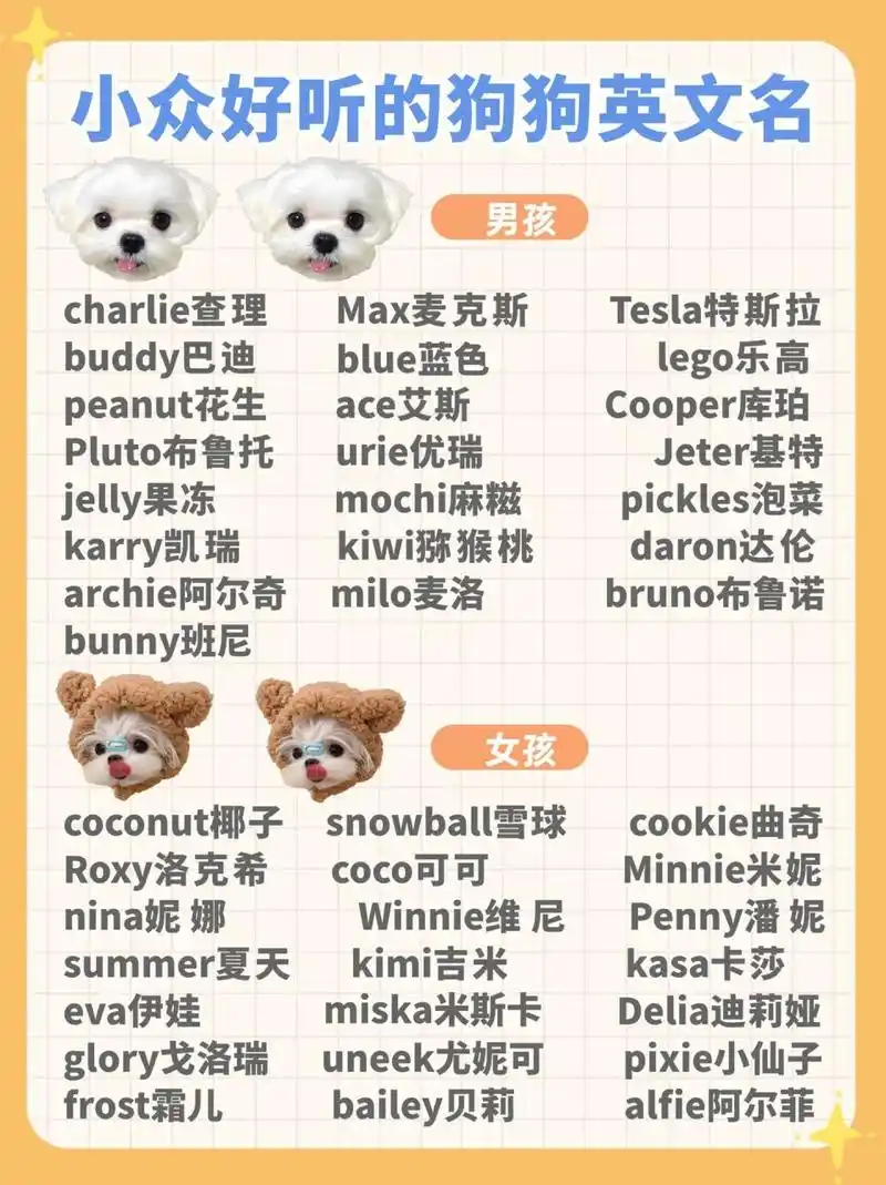 73少重复又好听的狗狗英文名 女宝男宝98英文名字合集~ 准备养