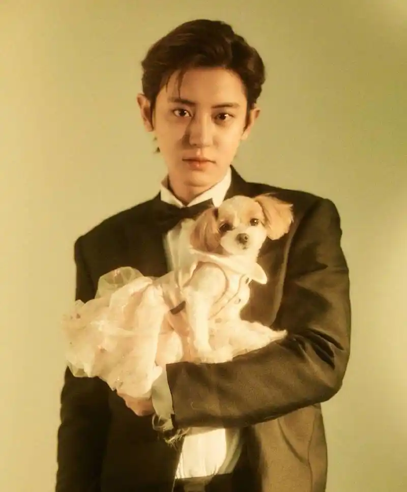 朴灿烈昨日入伍更新ins与粉丝道别还能等到摸头照吗