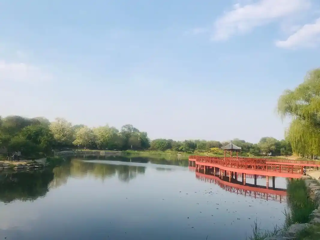 治愈系风景 #治愈 #人生感悟 #智慧女人 #所遇皆美好  - 抖音