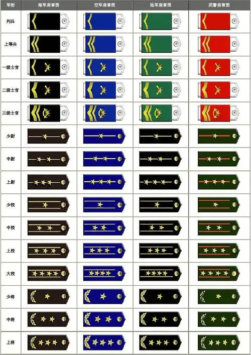 中国人民解放军99式军衔肩章图_word文档在线阅读与下载_无忧文档