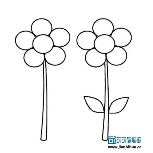 花简笔画图片教程一组简单漂亮的花瓣简笔画图片4花朵简笔画-简笔画
