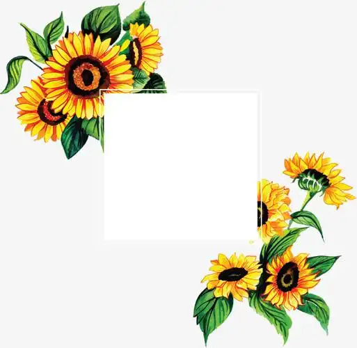矢量png手绘向日葵春天边框