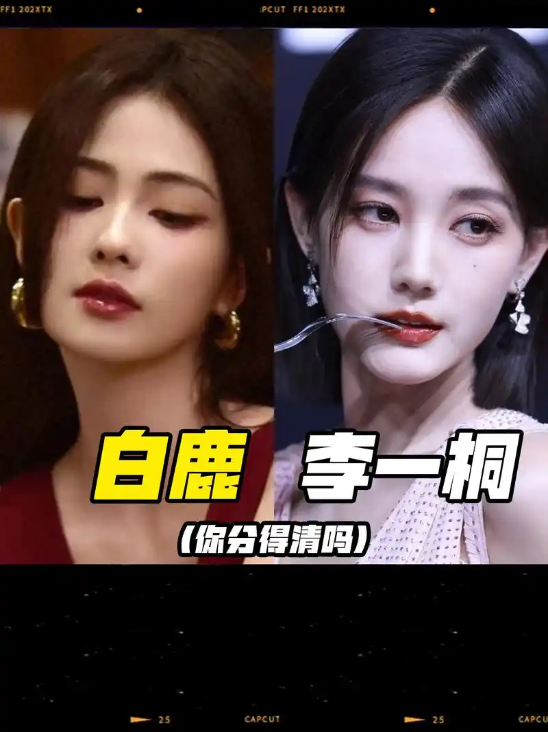 不是,你们分得清吗?#李一桐白鹿同框 #傻傻分不清楚 #戴 - 抖音