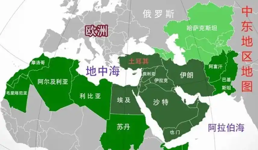 和现实的角度来看,有几个国家可能会被一些人认为是阿拉伯国家的叛徒