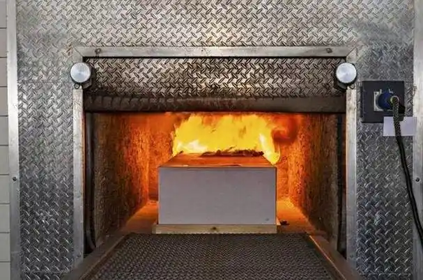 美女死刑犯毕丽梅,枪决后在火葬场"死而复生",被二次行刑_蒋来义_时候