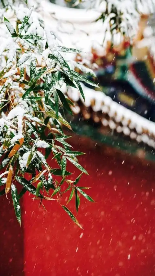 故宫唯美雪景图片手机壁纸