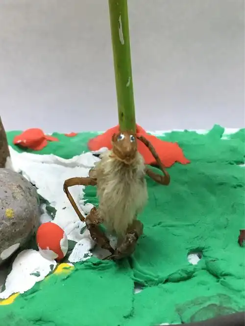 毛猴的主要材料有知了壳和玉兰花骨朵.