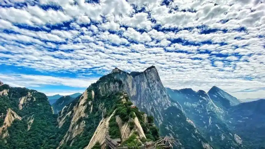 华山景区利好消息72