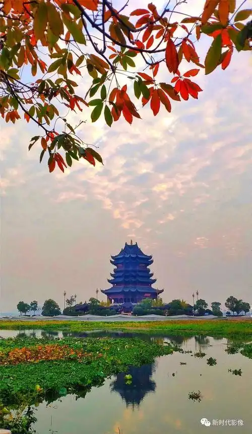 手机摄影上榜,祖国各地美丽风景