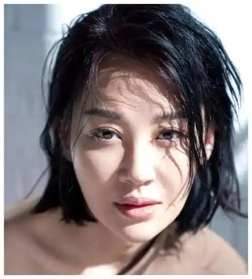 许晴的独特魅力,在无数观众面前征服了,以卓越演技再!