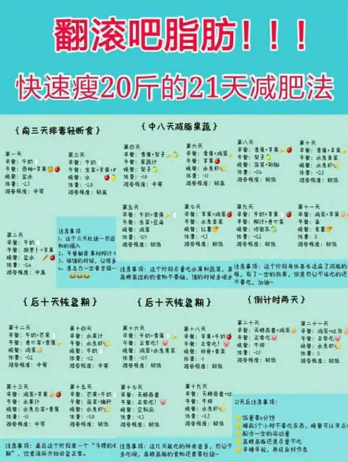 每日即傲一招21天暴瘦20斤减肥法
