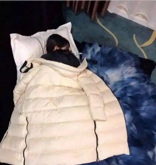 刘涛春晚表演后睡地板,跨界做主持不输央视一姐董卿